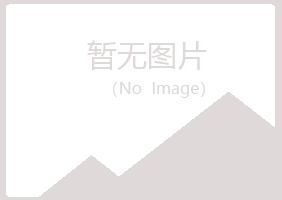 扎兰屯埋没音乐有限公司